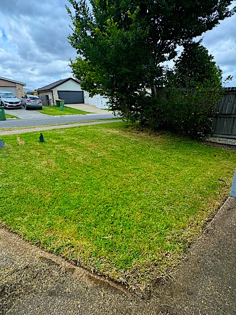 Completed Lawn Job